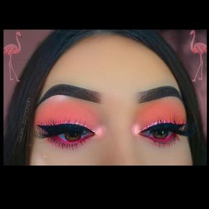 Meet your Posher, Sammy